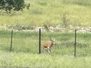 3420 NE County Rd 2596 (2)