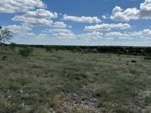 3420 NE County Rd 2596 (89)