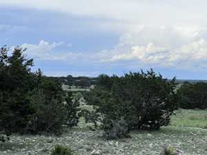 3420 NE County Rd 2596 (22)