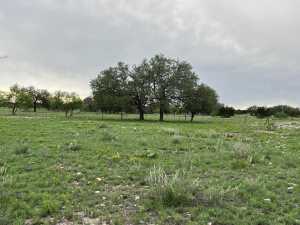 3420 NE County Rd 2596 (24)
