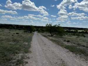 3420 NE County Rd 2596 (29)