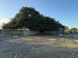 3420 NE County Rd 2596 (31)