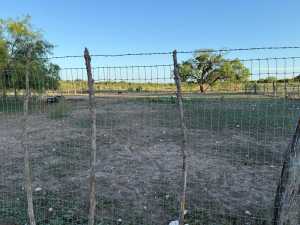 3420 NE County Rd 2596 (32)