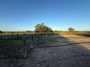 3420 NE County Rd 2596 (76)