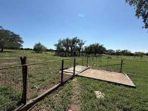 3420 NE County Rd 2596 (37)