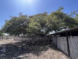 3420 NE County Rd 2596 (45)