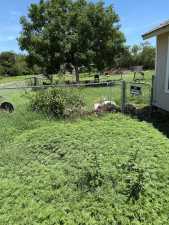 1402 Spaulding St (8)