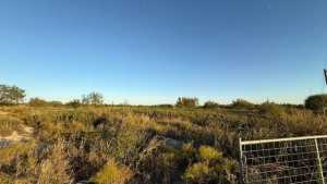 4436 N Bryant Blvd (7)