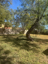 2464 Oxford Ave (11)