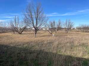 7908 W Grape Creek Rd (4)