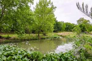 669 Private Rd 3523 (15)