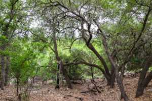 669 Private Rd 3523 (17)