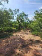 113 Private Rd 3561 (13)