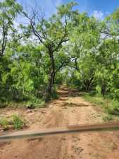 113 Private Rd 3561 (15)