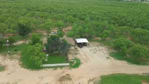 113 Private Rd 3561 (2)