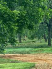 113 Private Rd 3561 (11)