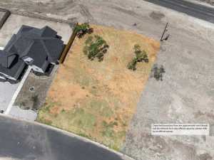 2318 Palms Court (9)