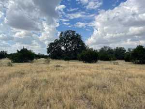 County Rd 220 (4)