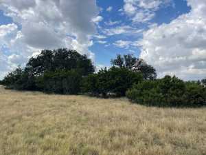 County Rd 220 (5)