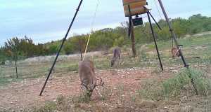 544 Private Rd 3922 (2)