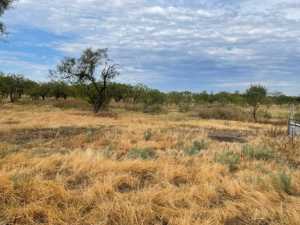 544 Private Rd 3922 (74)