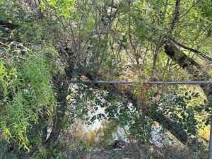 6626 Knickerbocker Rd (16)