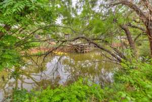 6626 Knickerbocker Rd (24)