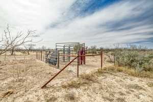 12629 Hidden View Dr (59)