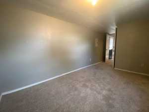 1001 S David St (46)