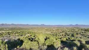 Tract 56 Sierra la Rana (12)
