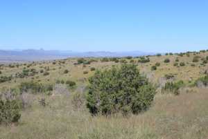 Tract 56 Sierra la Rana (7)