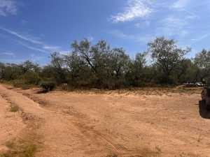 11333 US HWY 87 N (10)