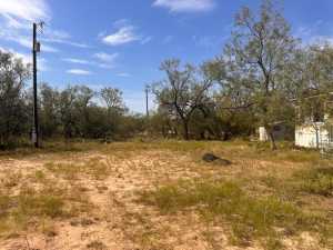 11333 US HWY 87 N (11)