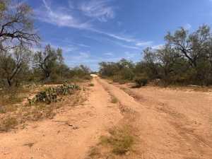 11333 US HWY 87 N (13)