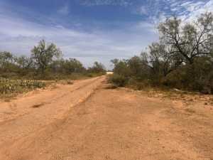 11333 US HWY 87 N (3)
