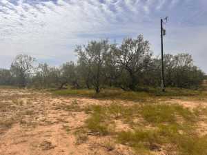 11333 US HWY 87 N (5)