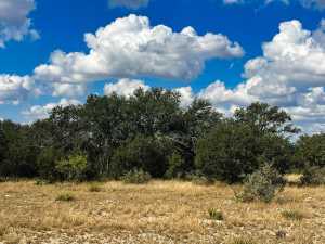 1101 County Road 350