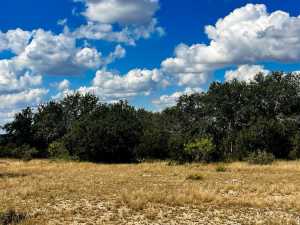 1101 County Road 350 (10)