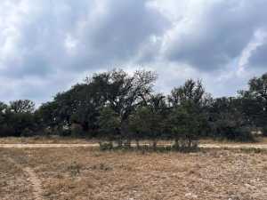 1101 County Road 350 (24)