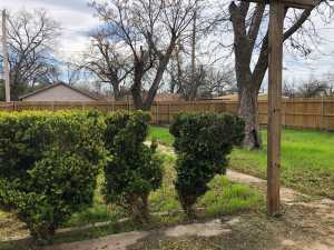 1905 W Twohig Ave (18)