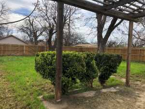 1905 W Twohig Ave (19)