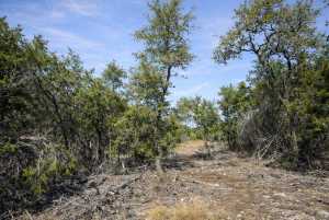 TBD W Leaning Madrone Dr (2)