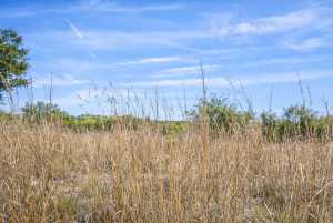 TBD W Leaning Madrone Dr (3)