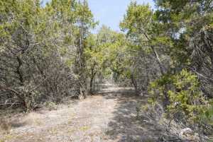 TBD W Leaning Madrone Dr (8)