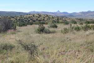 TR 57R Sierra la Rana (8)