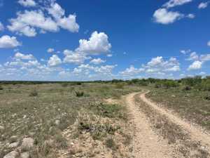 FM 1828 (13)