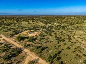 3459 Private Rd 3324 (39)