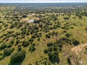 3459 Private Rd 3324 (44)