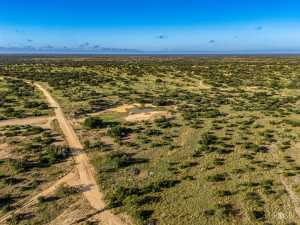 3459 Private Rd 3324 (50)