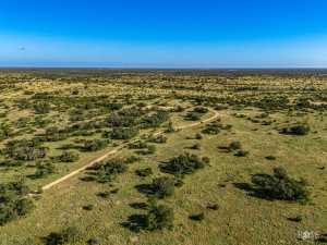 3459 Private Rd 3324 (52)